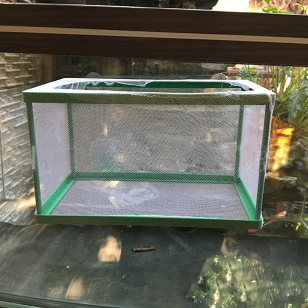 Aquarium Fish Rate - Pojemnik izolacyjny do hodowli ryb akwariowych,