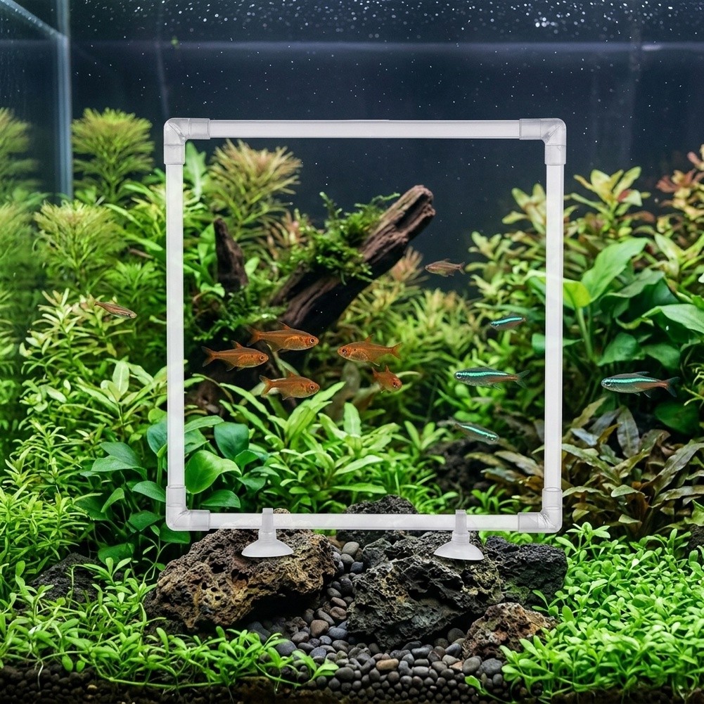 Aquarium Fish Zone - Pływająca osłona na rośliny akwariowe do