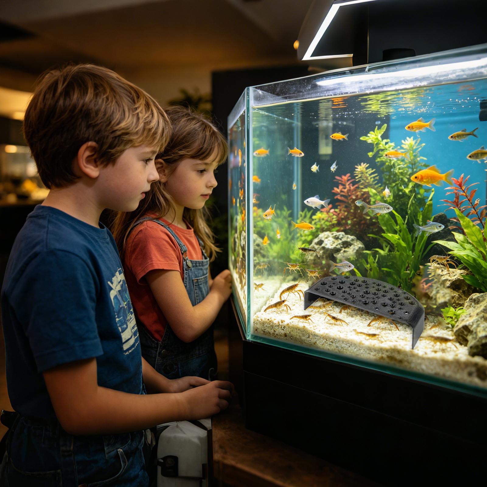 Ozdoba do akwarium dla zwierzą – Aquarium Fish Zone recenzja i cena