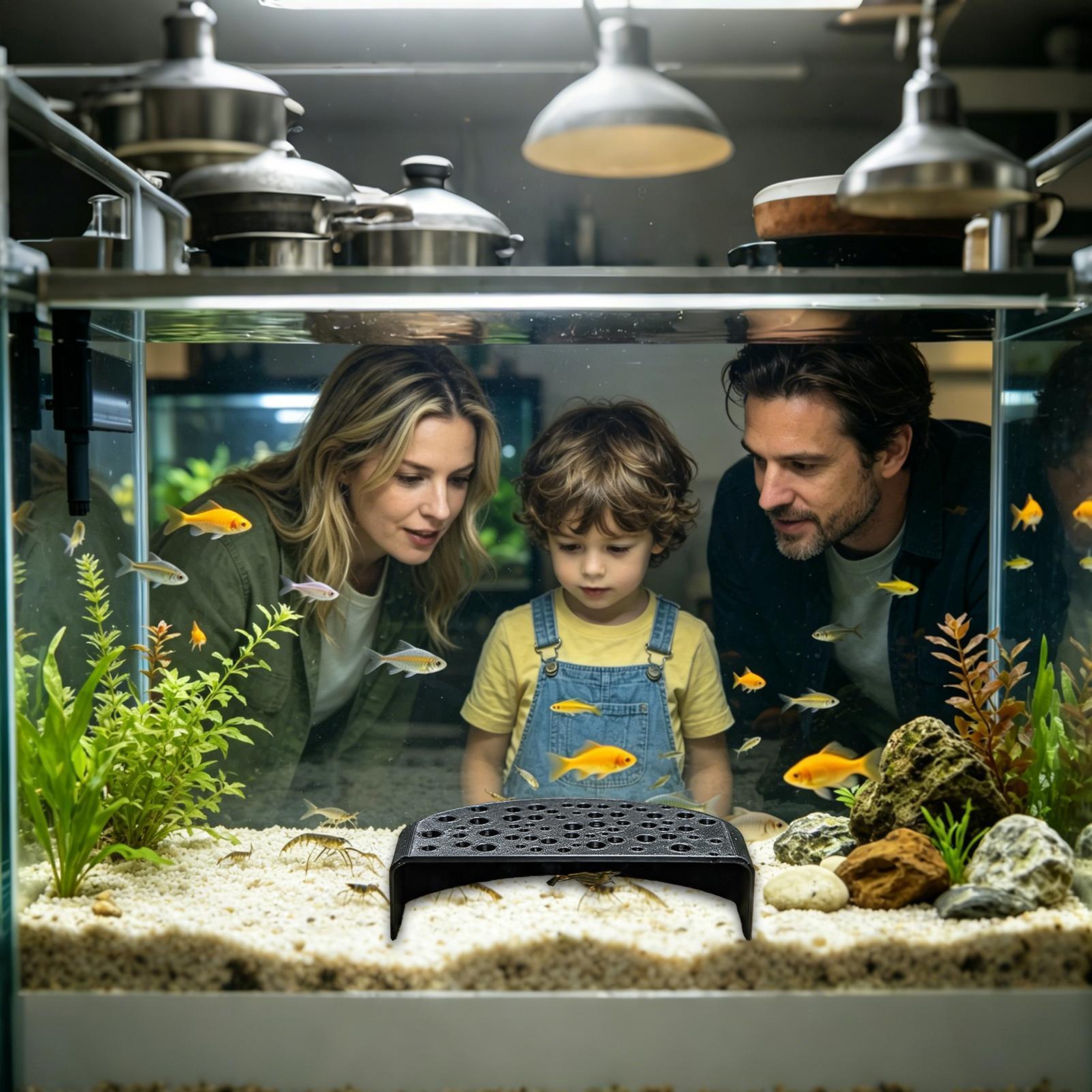 Ozdoba do akwarium dla zwierzą – Aquarium Fish Zone recenzja i cena