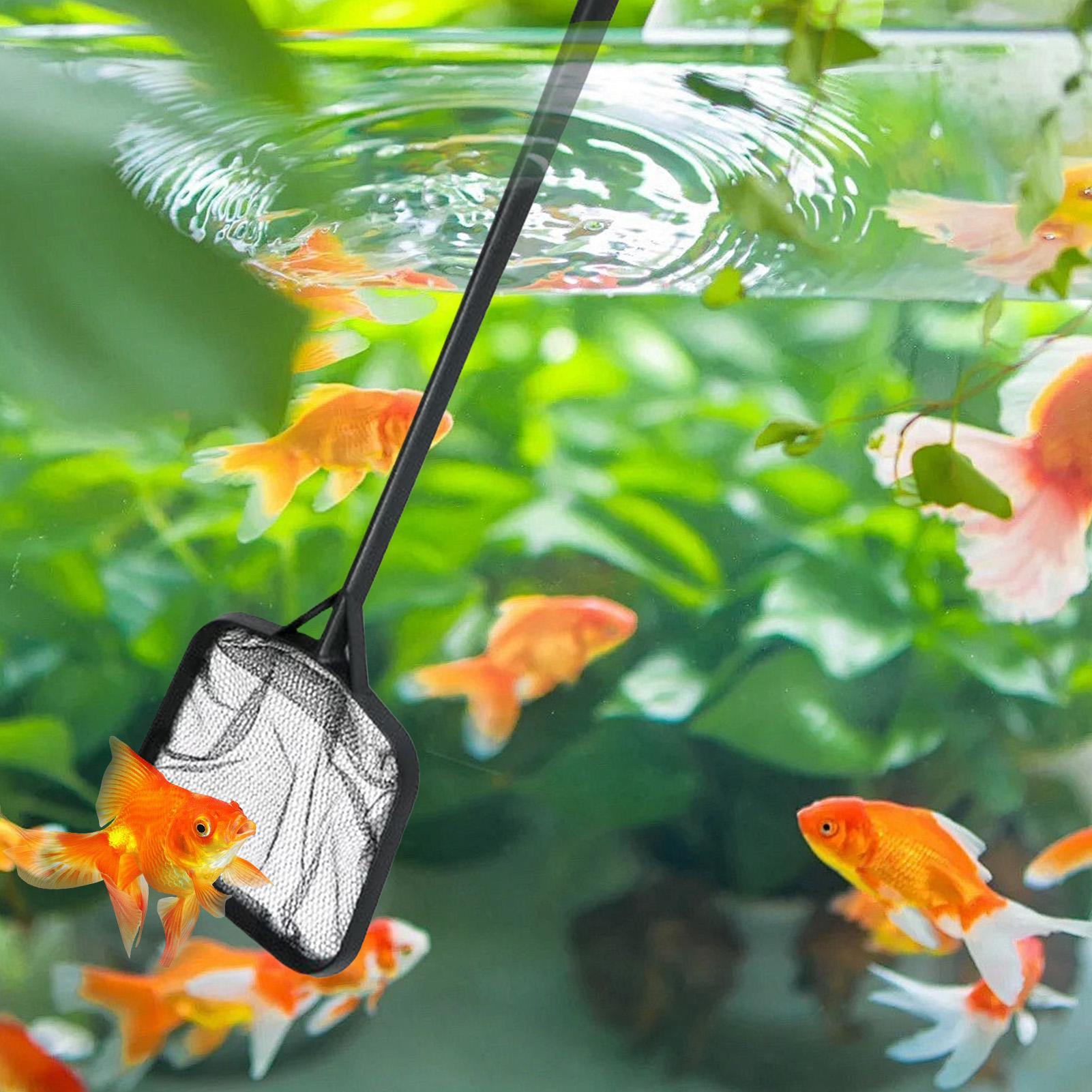 Siatki do czyszczenia basenów, – Aquarium Fish Net recenzja i cena