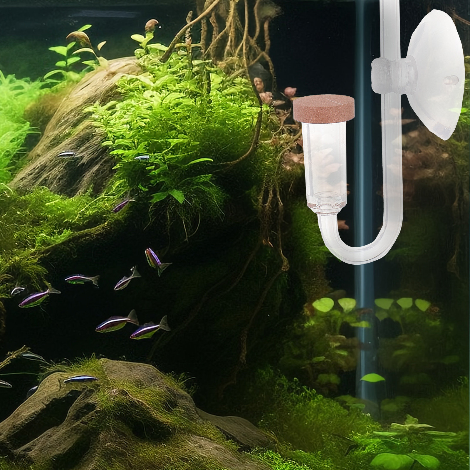 Rafiner CO2 do akwarium, przez – Aquarium Fish Rate recenzja i cena