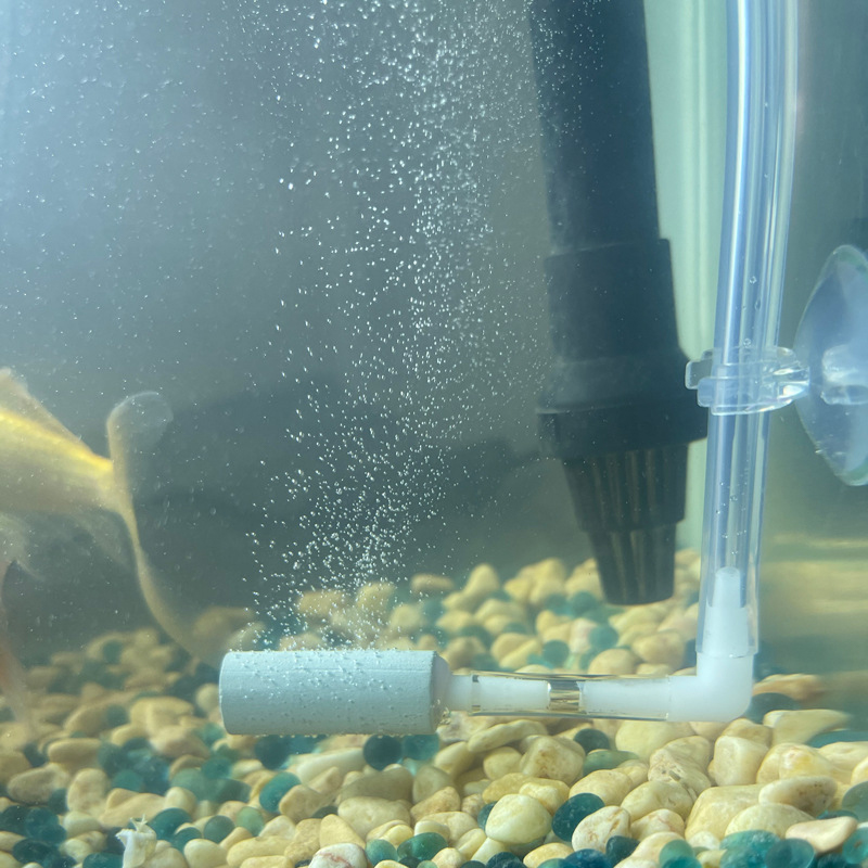 Regulator systemu CO2, doskona – Aquarium Fish Rate recenzja i cena