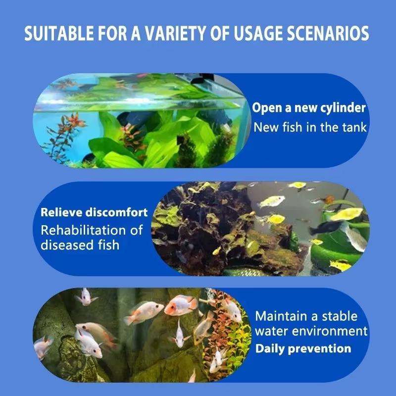 Leczenie chorób ryb SIKEZHAN i – Aquarium Fish Quality recenzja i cena