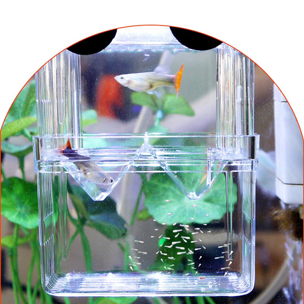 Przezroczysty pojemnik do hodo – Aquarium Fish Rate recenzja i cena