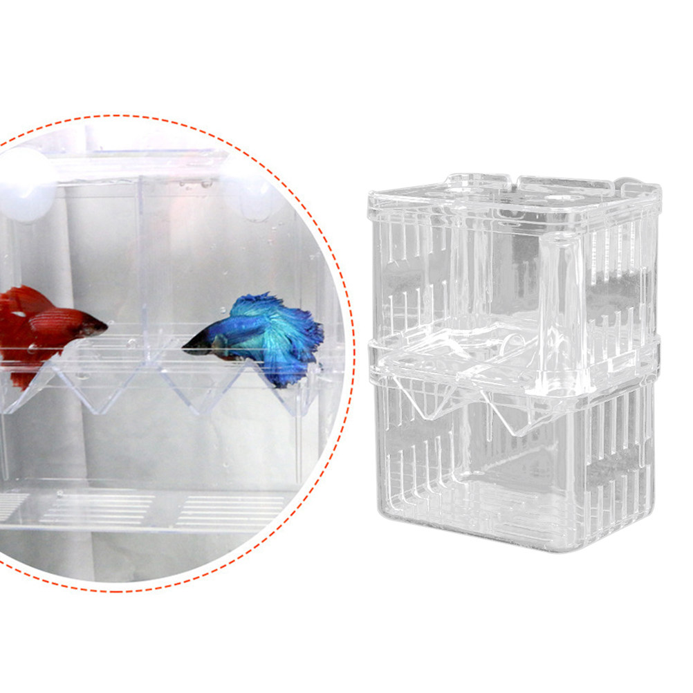 Przezroczysty pojemnik do hodo – Aquarium Fish Rate recenzja i cena