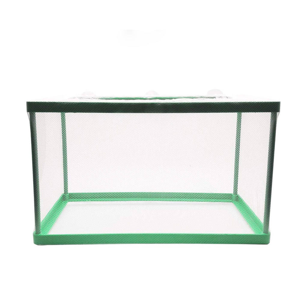 Pojemnik izolacyjny do hodowli – Aquarium Fish Rate recenzja i cena