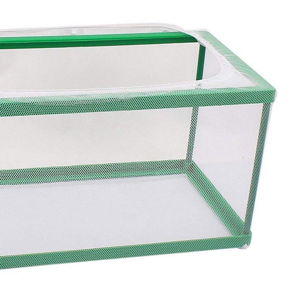 Pojemnik izolacyjny do hodowli – Aquarium Fish Rate recenzja i cena