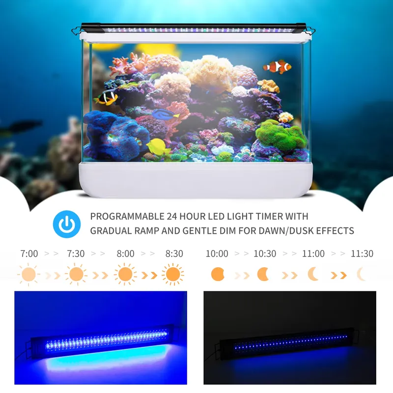 Programowalny timer do oświetl – Aquarium Fish Lamp recenzja i cena