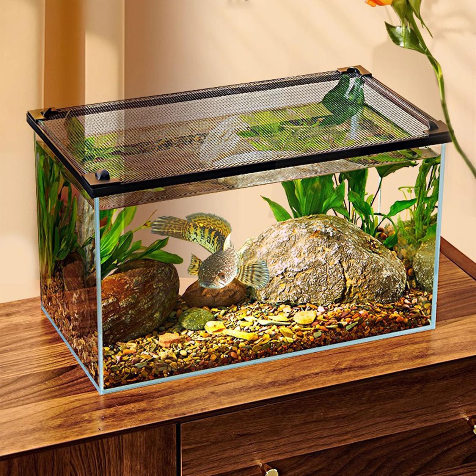 Magnetyczna, wytrzymała siatka – Aquarium Fish Net recenzja i cena