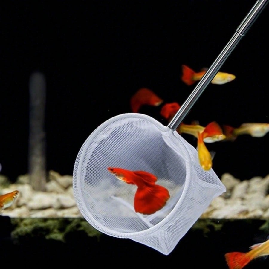 Siatka do akwarium - wysuwana, – Aquarium Fish Net recenzja i cena