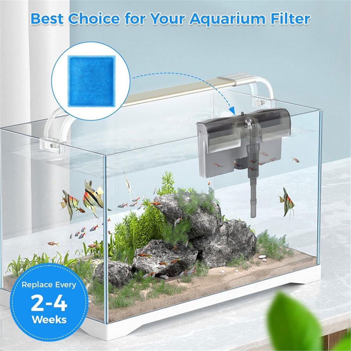 《NAJLEPIEJ OCENIANE》10 szt. Wk – Aquarium Fish Rate recenzja i cena