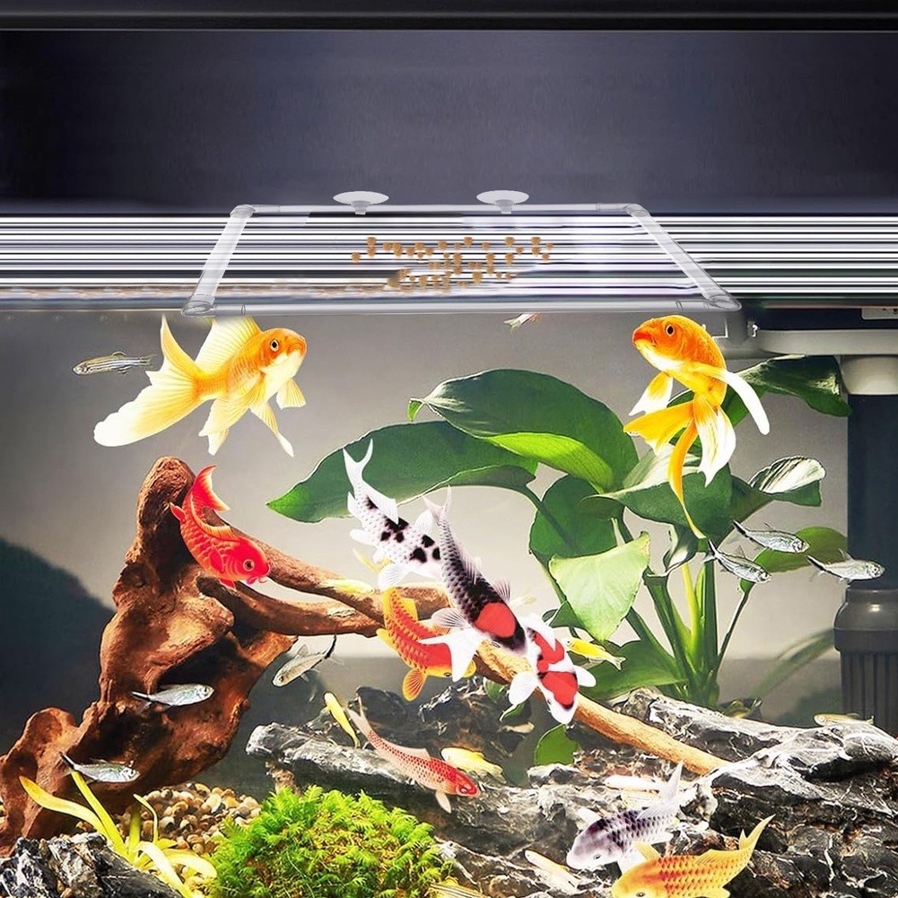 Pływająca osłona na rośliny ak – Aquarium Fish Zone recenzja i cena