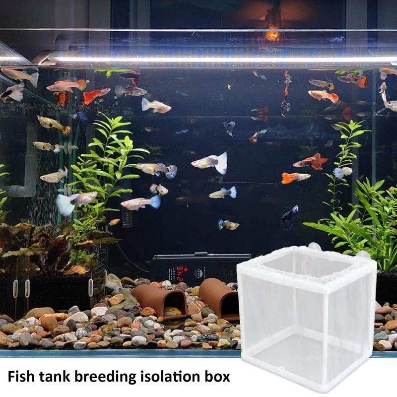 Pudełko do hodowli ryb z zasys – Aquarium Fish Net recenzja i cena