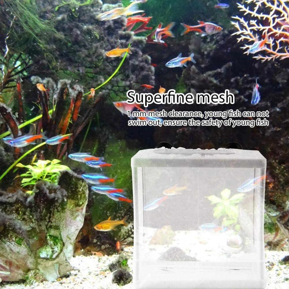 Klatka izolacyjna do akwarium, – Aquarium Fish Net recenzja i cena