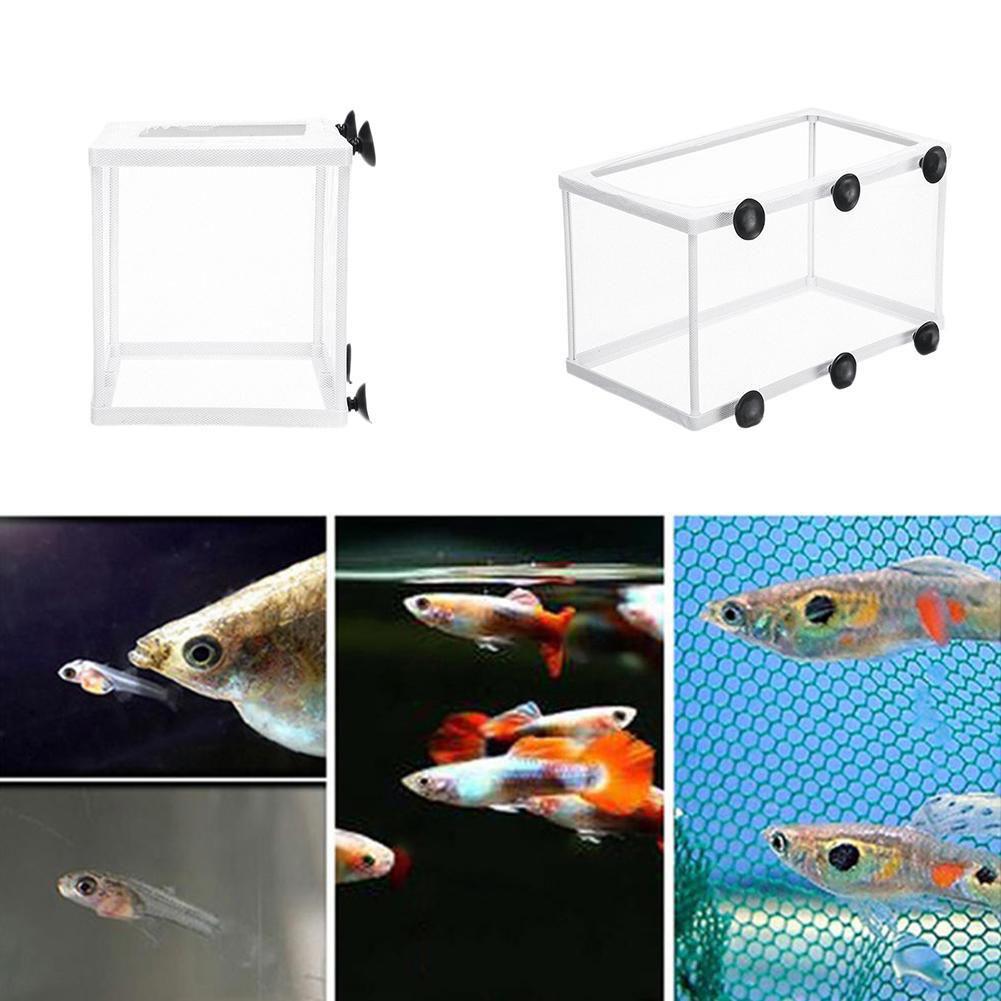 Klatka izolacyjna do akwarium, – Aquarium Fish Net recenzja i cena