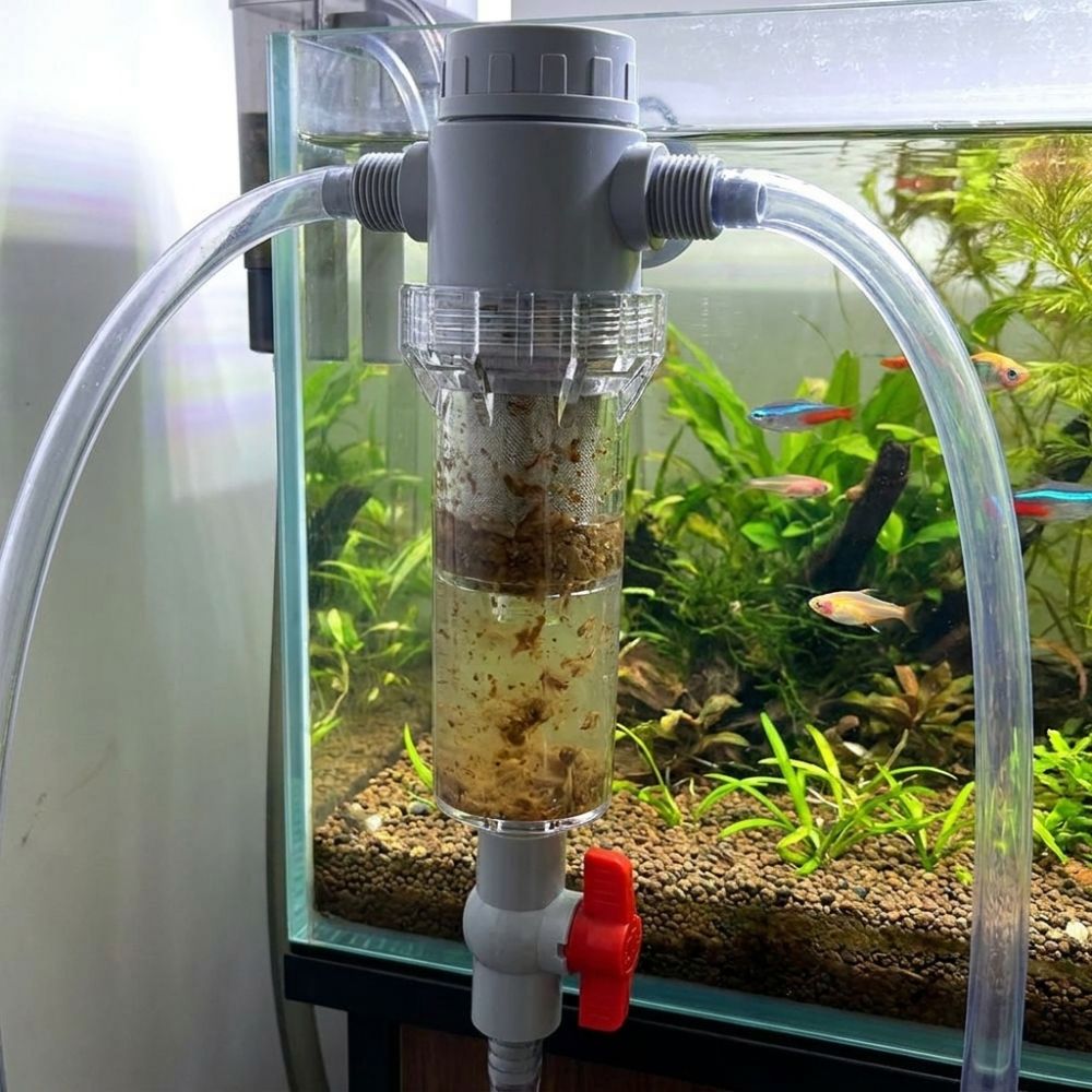 Separator odchodów akwariowych – Aquarium Fish Rate recenzja i cena