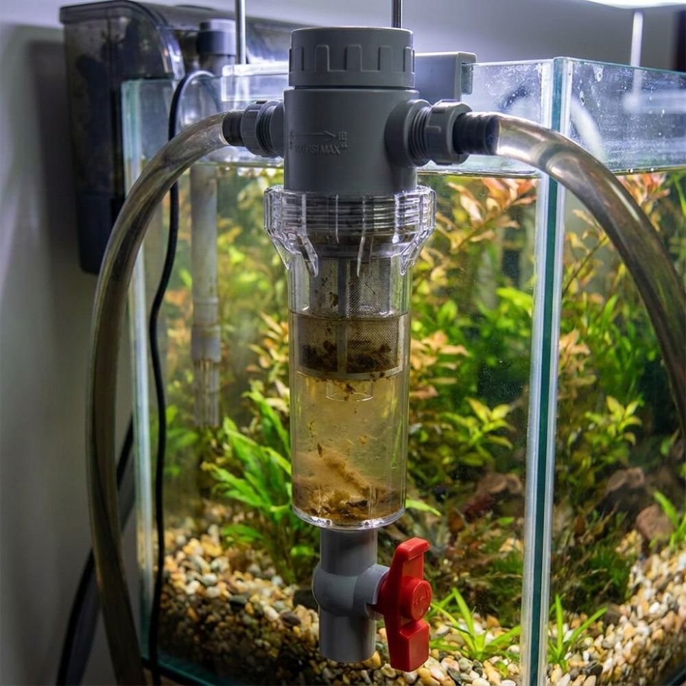 Separator odchodów akwariowych – Aquarium Fish Rate recenzja i cena
